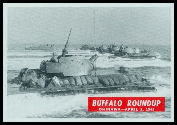 69 Buffalo Roundup